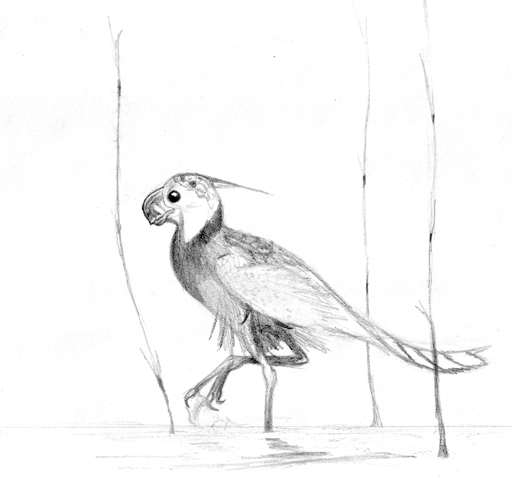 caenagnathasia.jpg (95193 bytes)