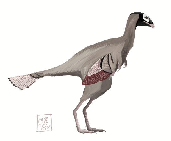 caudipteryx