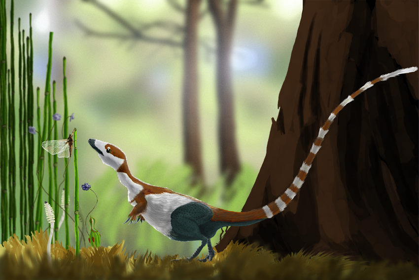 Sinosauropteryx prima