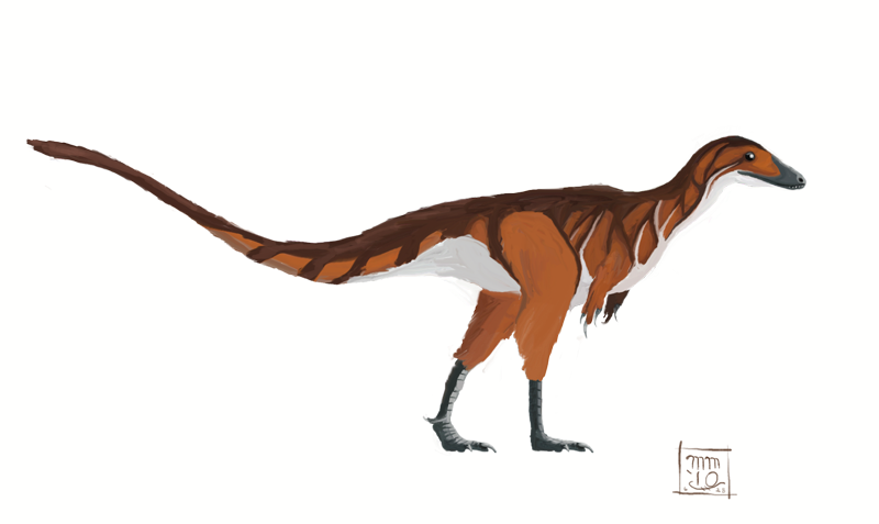Sinosauropteryx prima